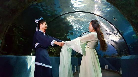合肥海洋世界表演