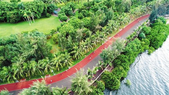 海口万绿园:滨海健康步道 健身游园两不误_新浪旅游_新浪网