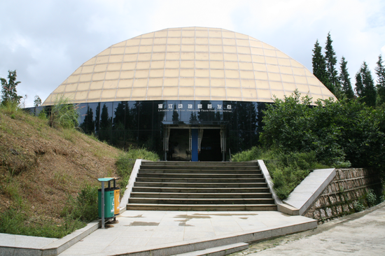乘坐时光机穿越远古 开启澄江寒武纪生物冒险