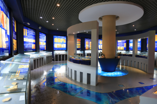 乘坐时光机穿越远古 开启澄江寒武纪生物冒险