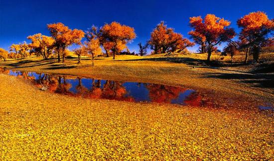 阿拉善盟旅游推介深入津城 邀您赏美景促发展