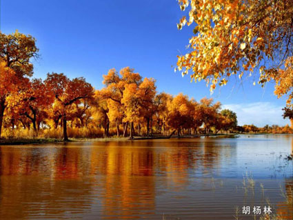 内蒙古阿拉善盟来并推介旅游品牌 越野e族英雄会吸睛_新浪旅游_新浪网