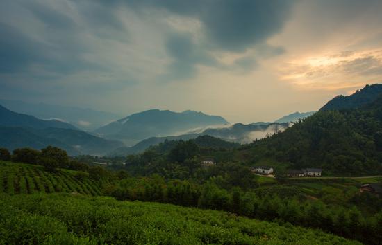 高山云雾日出