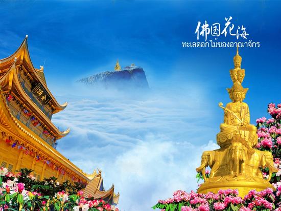 西安向南4小时 去乐山拜大佛峨眉看云海 不仅有美景还有美食