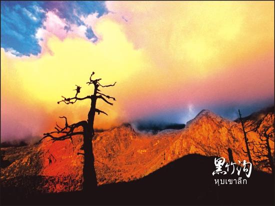 西安向南4小时 去乐山拜大佛峨眉看云海 不仅有美景还有美食