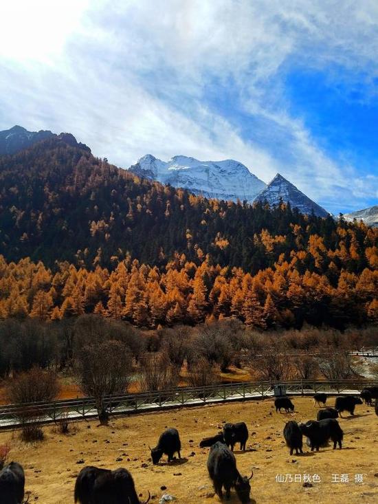 稻城亚丁景区举办秋冬旅游产品说明会暨电子商