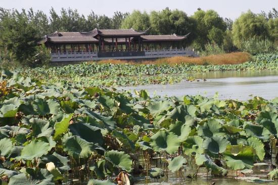 大美江苏,精彩泗洪。江苏古徐城景区揭牌仪式