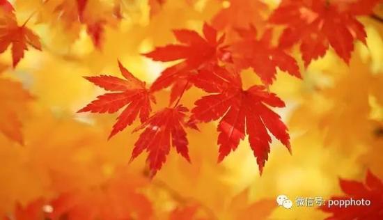 摄影:韩正军