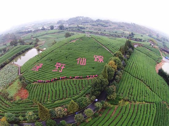 最后的江南秘境松阳邀杭城市民共品生态农副产品