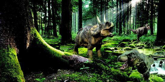 重庆到底有没有花果山? 9月29日中国三峡乡村