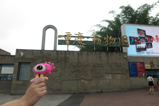 动物园