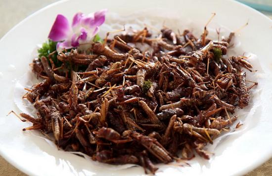 云南虫子宴的主流虫类 你知多少