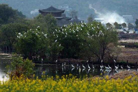 云南腾冲旅游招商文化宣传推介会在广州举行