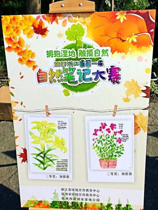 浙江省第一届自然笔记大赛的总结活动