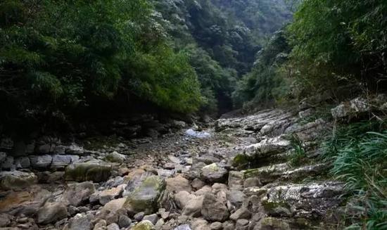 重庆的“香格里拉”石柱七曜山(齐岳山)地质公园\获国家地质公园称号\无人机下的美丽深山 油罐沟