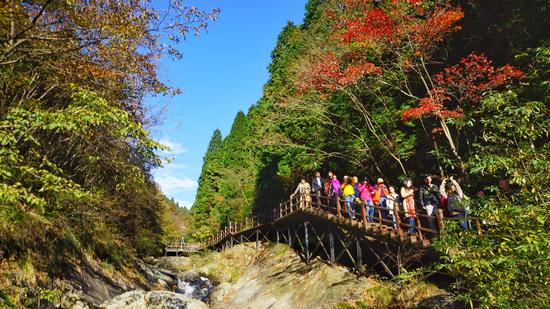 庐山自然保护区