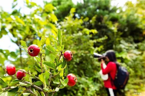 双十一 2017中国金寨中华驴友徒步大会等你来