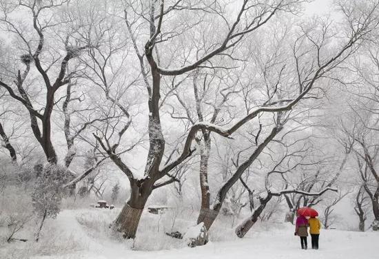 12月1日起,云台山门票实行半价优惠!魅力冰雪