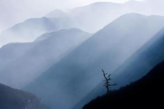 12月1日起,云台山门票实行半价优惠!魅力冰雪