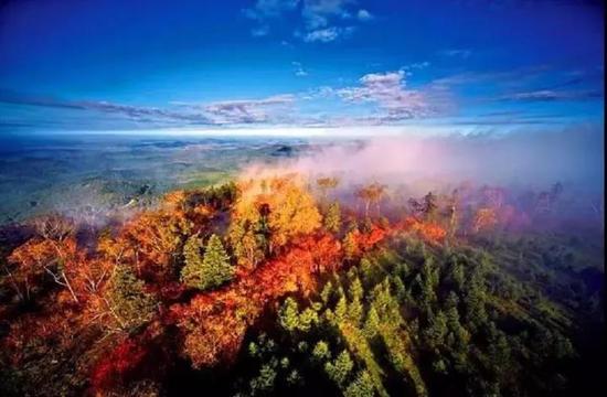来源:山东画报