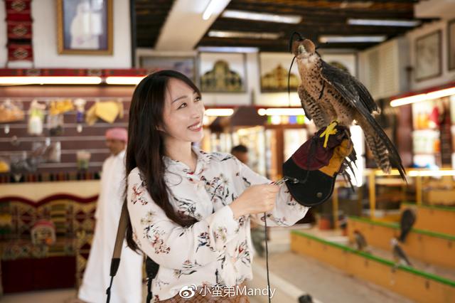 小姐姐玩兒鷹 揭秘卡塔爾