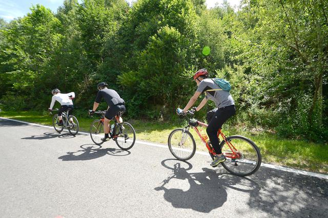 2019年門頭溝區(qū)旅游文化節(jié)啟動 一路騎游妙峰山玫瑰花?；顒映晒εe辦