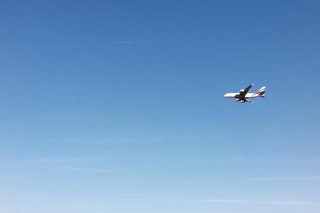 全球航空超過30家停飛 2020年客運(yùn)收入損失高達(dá)1130億美元