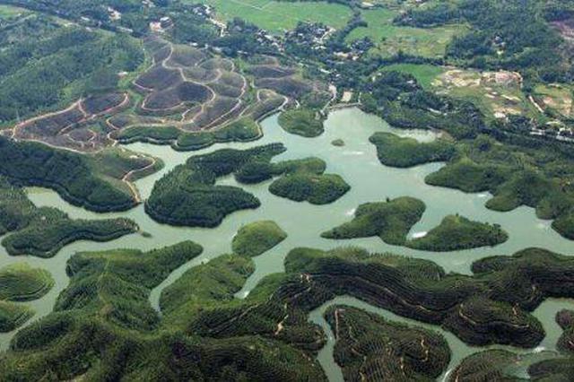 中國紅樹林面積增至2.9萬公頃