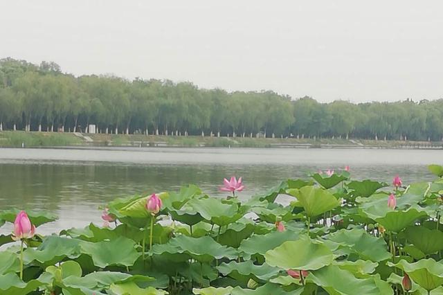 北京市民京內(nèi)游未預約勿前往