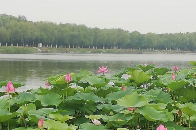 今年暑期游市場(chǎng)有何新亮點(diǎn)