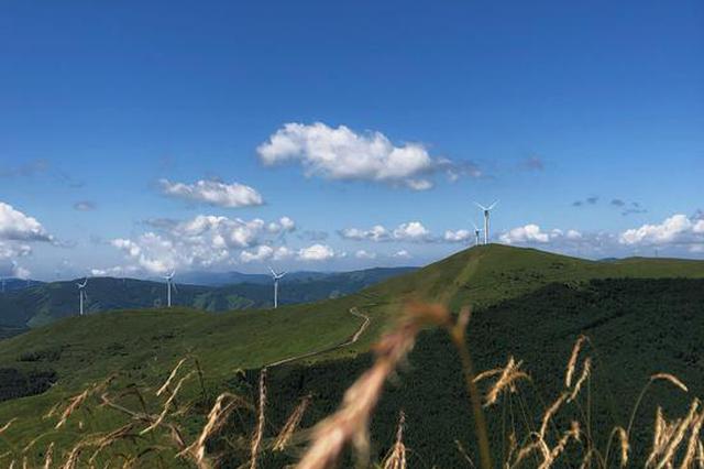 新旅游新消费 迎接今年第一个旅游高峰