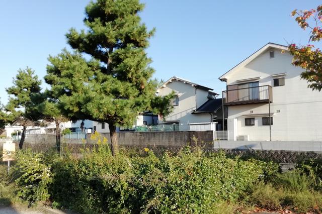 日本國(guó)家旅游局：10月訪日外國(guó)旅客同比減少98.9%