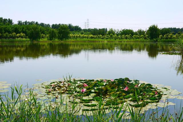 “十三五”我國(guó)新增濕地面積300多萬(wàn)畝 國(guó)家濕地公園總數(shù)達(dá)899處