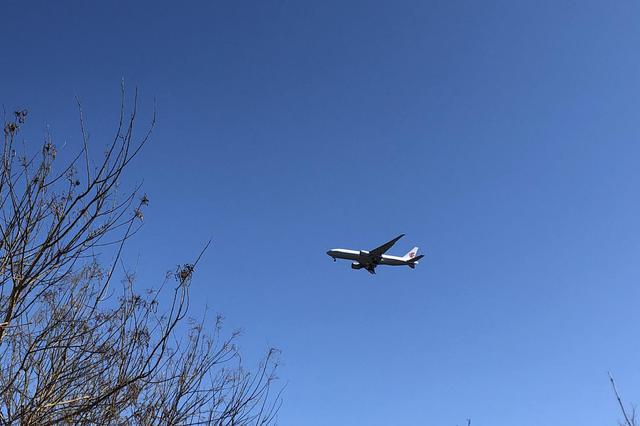 民航局向喜馬拉雅航和國(guó)航發(fā)出熔斷指令