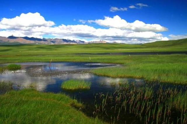 三江源國(guó)家公園迎來(lái)生態(tài)體驗(yàn)訪客