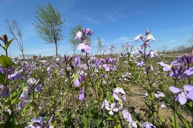 300條鄉(xiāng)村旅游學(xué)習(xí)體驗線路推出