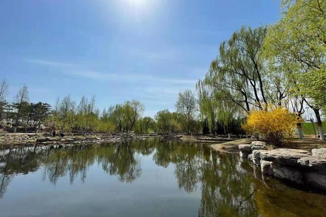 北京首個森林城市主題公園建成開放