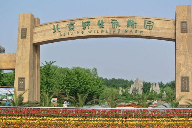 游客在動物園打架引發(fā)“動物效仿”，丟死個“人”了