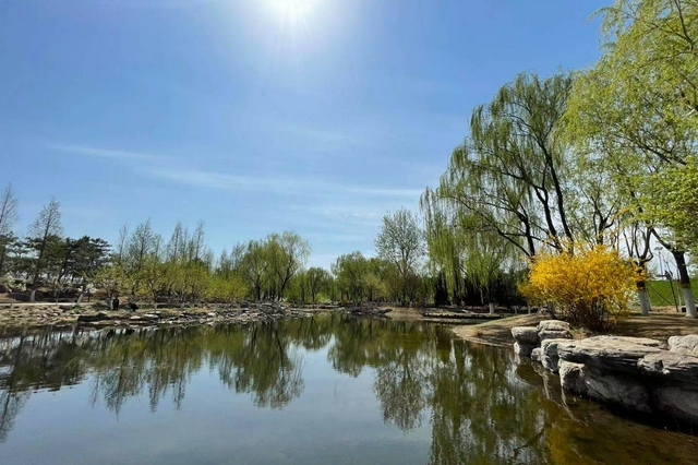 南苑森林湿地公园五千亩先行区明年建成