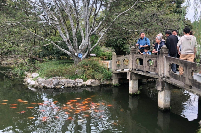 杭州上半年接待游客4840萬人次