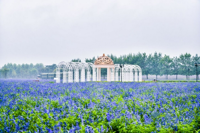 十一黃金周，保定周邊游，這些小眾寶藏地最適合