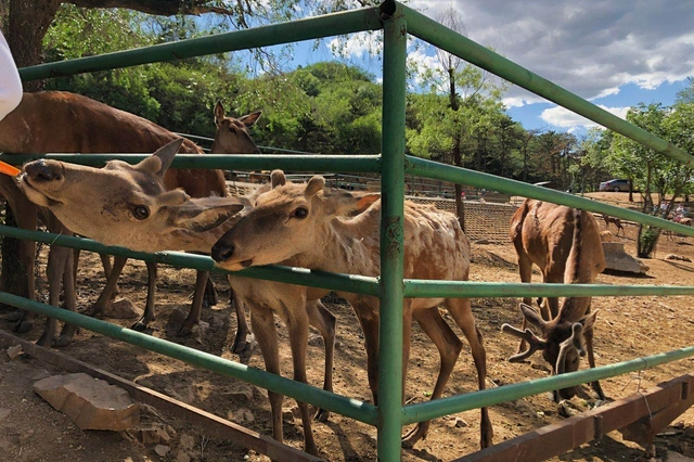 在國慶假期，赴一場與鄉(xiāng)村的“約會”