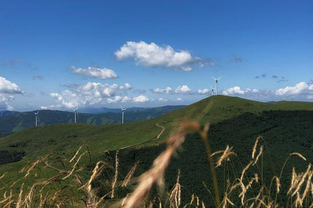 除了登高插茱萸，重陽節(jié)還能干點(diǎn)啥