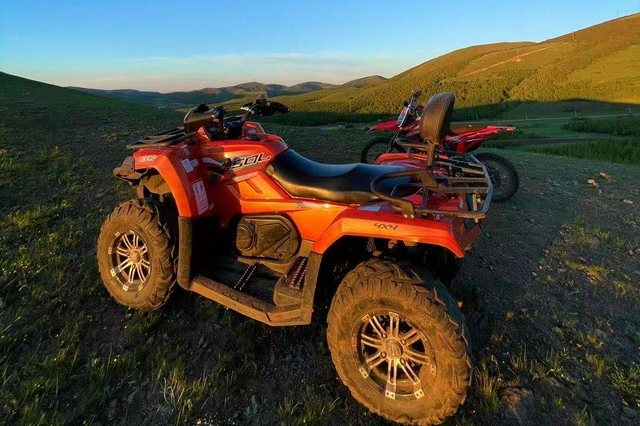 自駕游不能信馬由韁