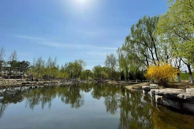 白洋淀的“華北之腎”功能正在恢復(fù)