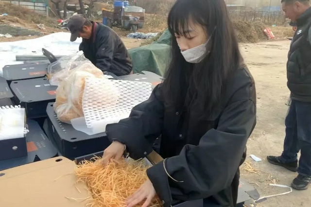 耕耘美麗鄉(xiāng)村 致力助農(nóng)興農(nóng)——密云不老公社農(nóng)旅活動助力共同富裕