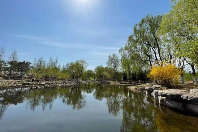 北京将建国家植物园，南北两园统一规划