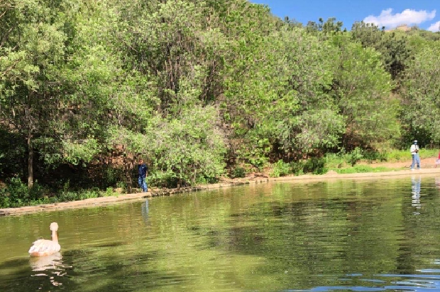 各地濕地公園達(dá)1600余處 中國濕地生態(tài)狀況持續(xù)改善
