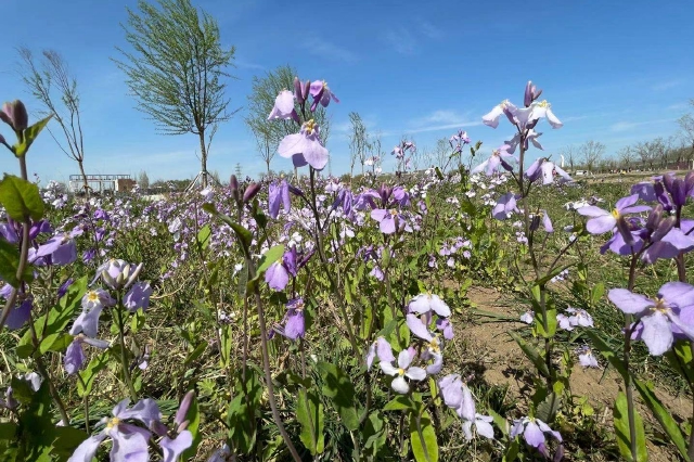 大眾旅游新階段 旅游業(yè)如何向上生長