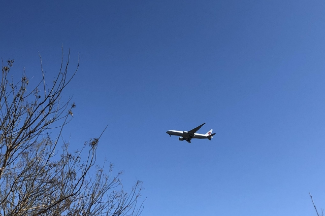 回鄉(xiāng)分散返程集中，部分線路坐飛機比高鐵便宜